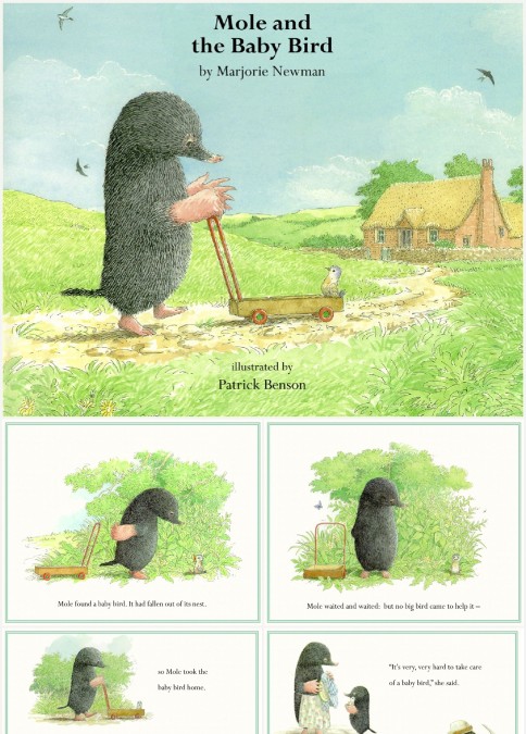 Mole and Baby Bird绘本故事