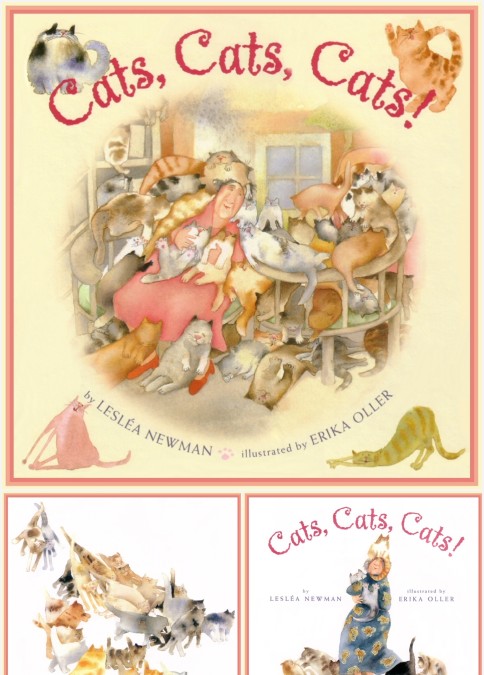 Cats Cats Cats绘本故事