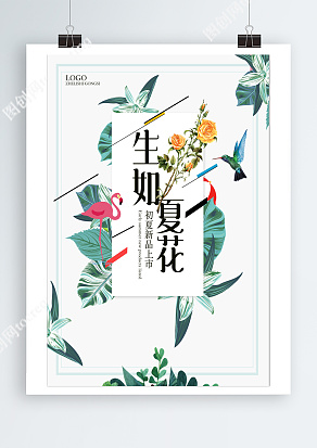 生如夏花 初夏新品上市