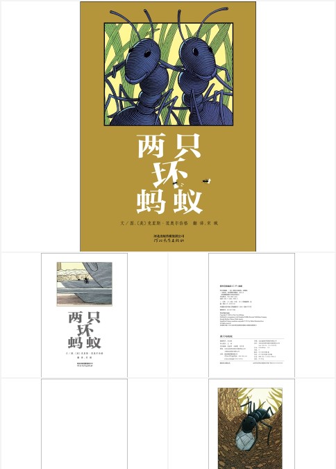 两只坏蚂蚁幼儿园故事绘本
