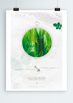 小满：立夏鹅毛往，小满雀来金