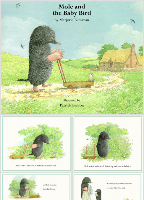 英语绘本故事丨《Mole and Baby Bird》鼹鼠和小鸟