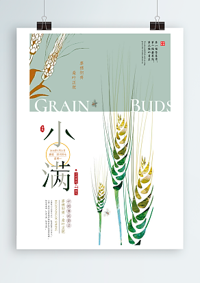 2020中国传统节气之小满