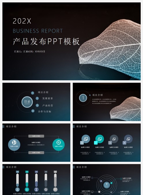 产品发布产品介绍PPT模板