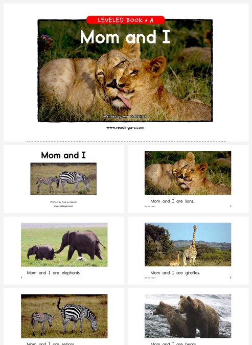 卡通英语绘本momandi教学模板ppt