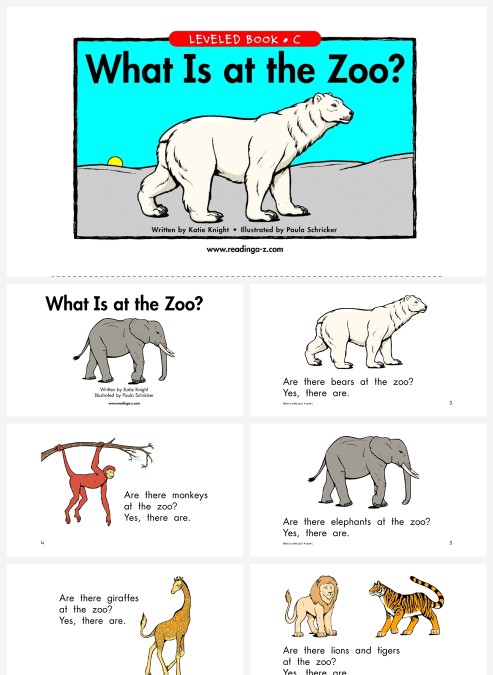 卡通英语绘本whatisatthezoo教育教学PPT