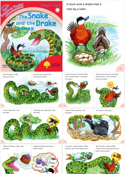 The Snake and the Drake 课件+教案