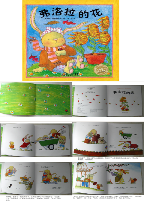 弗洛拉的花教育课件绘本故事