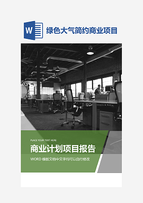 商业计划项目报告