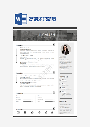 高端求职简历