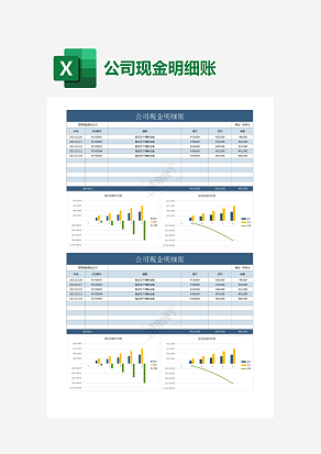 公司现金明细账