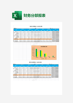 财务分部报表