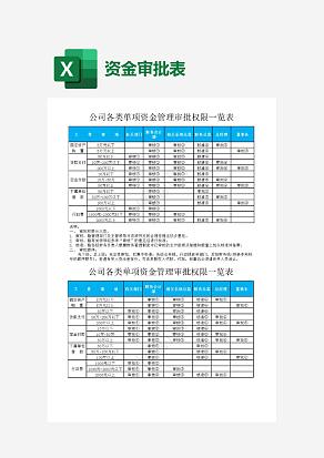 公司各类单项资金管理审批表
