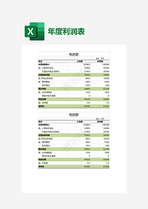 超市年度利润表
