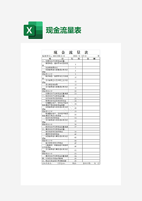 公司现金流量表