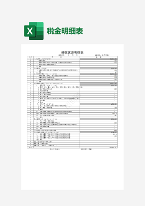 税收优惠明细表
