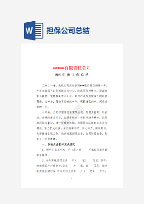 年度担保公司工作总结