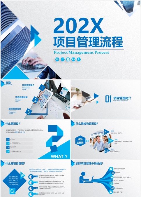 202X蓝色大气项目管理流程PPT
