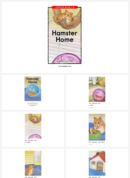 卡通英语绘本hamsterhome教学模板PPT