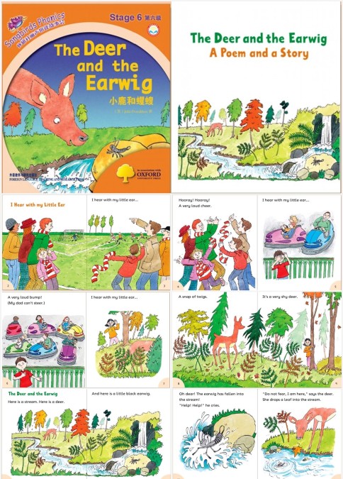 The Deer and the Earwig 课件+教案