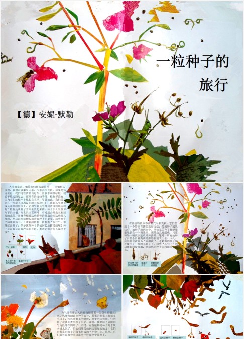 一粒种子的旅行绘本故事ppt