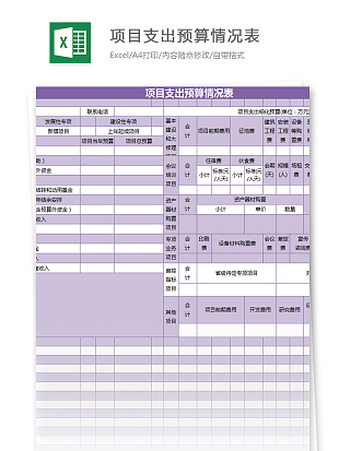 公司财务项目支出预算明细情况表excle模板