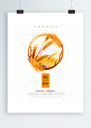 芒种：将光芒种植，静待自由绽放