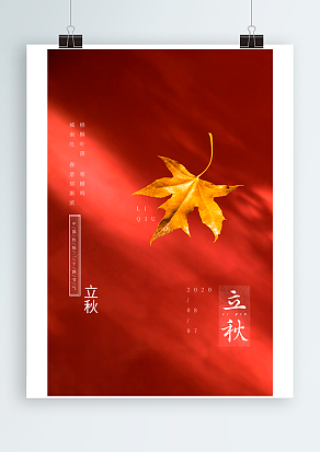 梧桐叶落，寒蝉鸣，传统节气立秋