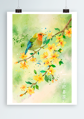 向阳一月迎春花，和春天的约定