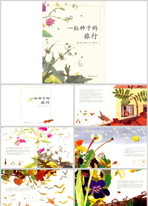 一粒种子的旅行