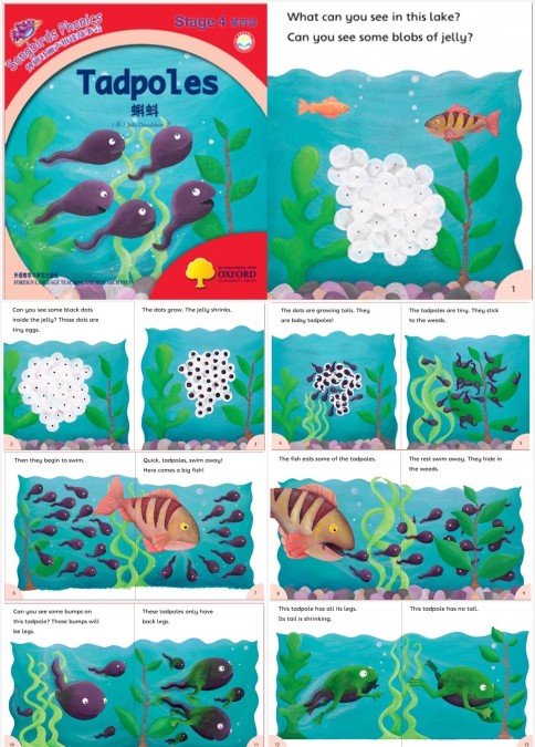 Tadpoles 课件+教案
