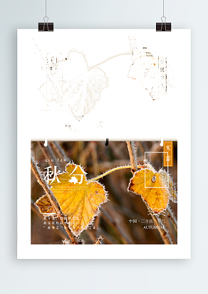 霜降冷飕飕，就想吃肉肉。