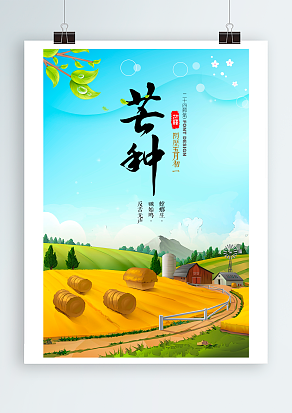 传统节气芒种：播种撒金黄，风吹打麦浪