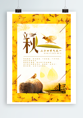 等一缕秋风，将美好晕染成耀眼的金色