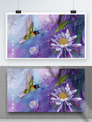 大千世界最大的美好莫过于昙花一现