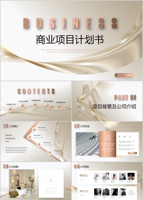 高端商务专业级商业项目计划书PPT金色线条公司简介工作总结规划融资方案