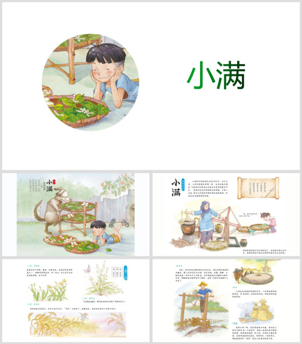 二十四节气绘本故事ppt《小满》