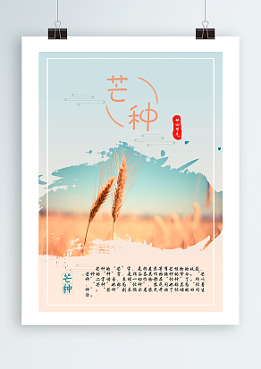 芒种：大麦小麦黄，来日酿浓香