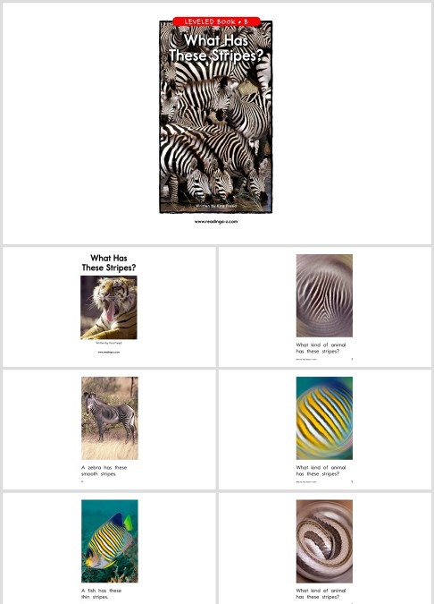 卡通英语绘本what has these stripes教学模板PPT