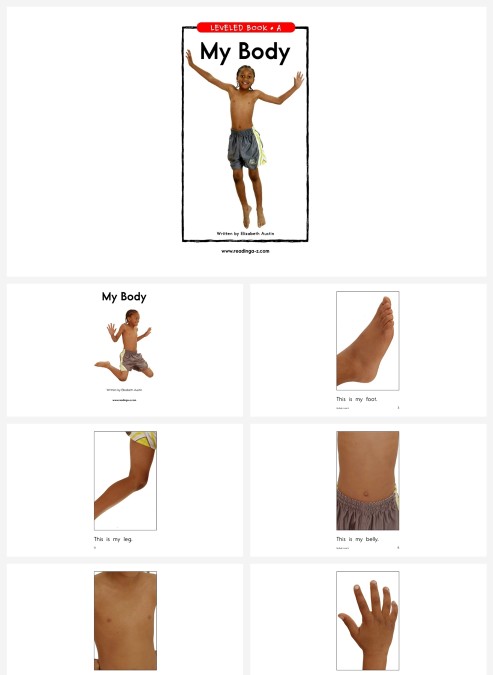 卡通英语绘本mybody模板PPT